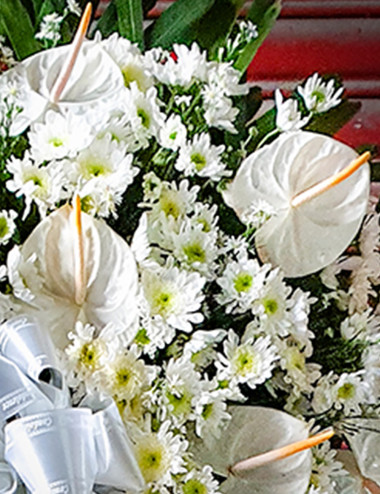 Eloise Funeral stand - Pangasinan Flower Shop - Dagupan City, Pangasinan, Philippines