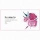 Custom gift card - Roses