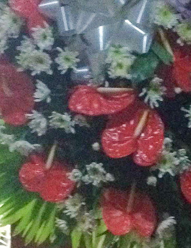 Cierra Funeral stand -  Pangasinan Flower Shop - Dagupan City, Pangasinan, Philippines