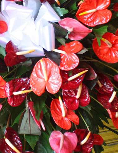 Vernetta Funeral stand -  Pangasinan Flower Shop - Dagupan City, Pangasinan, Philippines