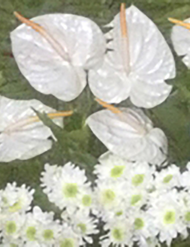 Ruby Basket -  Pangasinan Flower Shop - Dagupan City, Pangasinan, Philippines